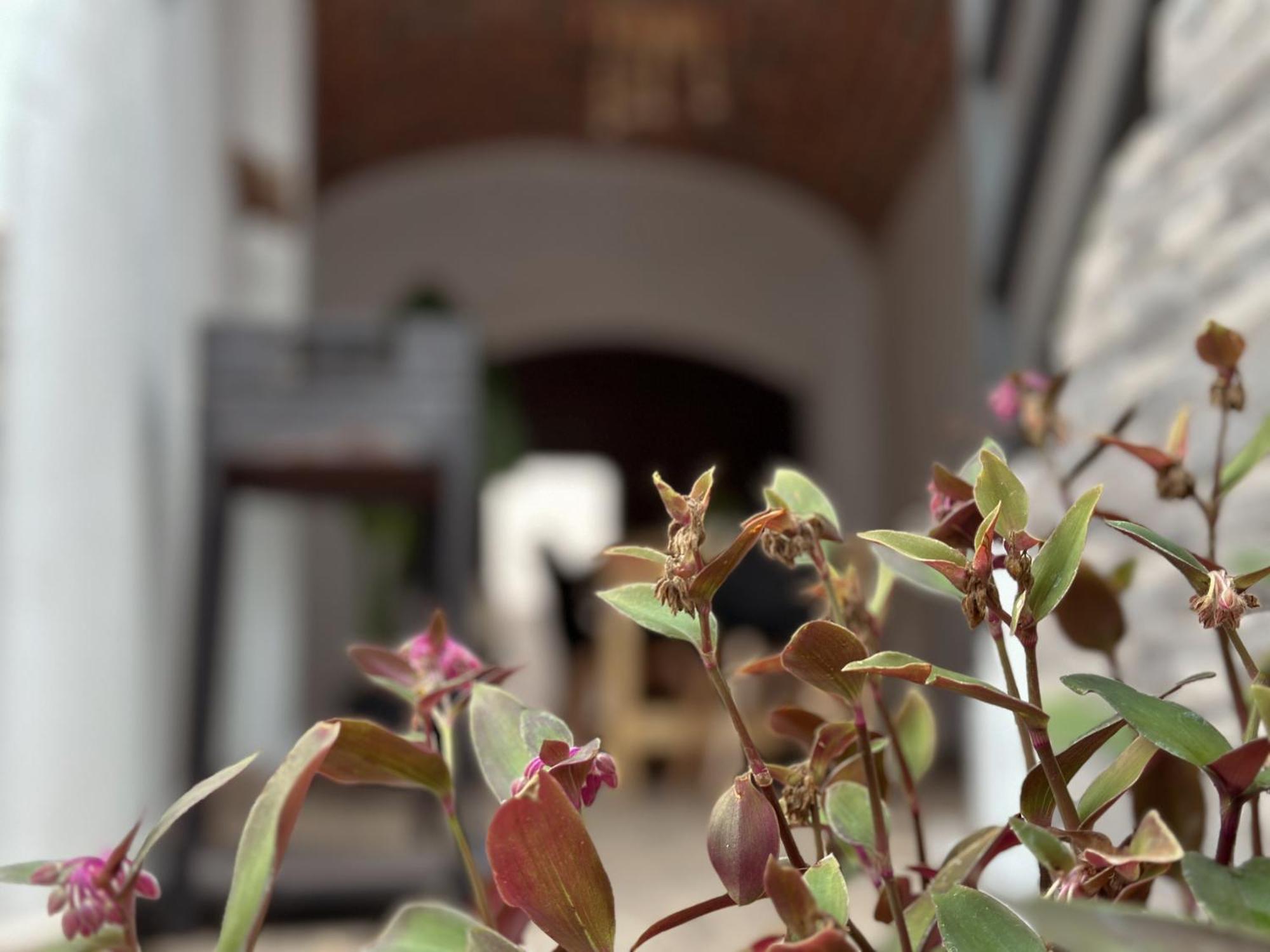 Casa Rural Alcocer Deluxe L Privacidad E Intimidad Puebla de Alcocer Dış mekan fotoğraf